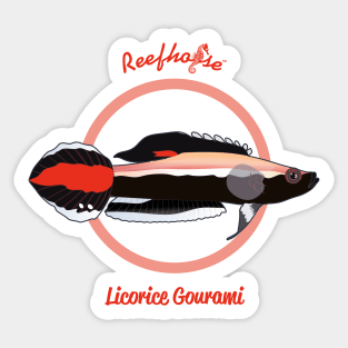 Licorice Gourami Sticker